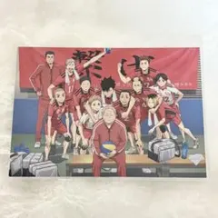 ハイキュー ゴミ捨て場の決戦 ブロマイド 映画特典
