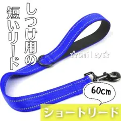 Item thumbnail for item 67bf2ea8-284a-44c4-bd61-1c659ca3a7c3