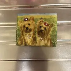 Item thumbnail for item 78d4a992-fb45-4def-b6c9-4c9d8b476893