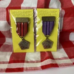 嵐 THE DIGITALIANツアー　会場限定メダルブローチ2個セット