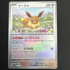 イーブイ SV8a テラスタルフェスex 125/187