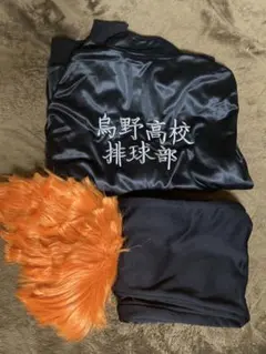 ハイキュー!! 鳥野高校 コスプレ衣装 日向翔陽ウィッグ