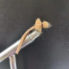 Item thumbnail for item 65288a63-4379-4f04-81e3-b8bc05f5a50d