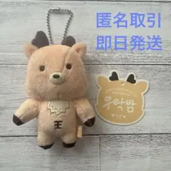 2026年最新】Riize ぬいぐるみ ソンチャンの人気アイテム - メルカリ