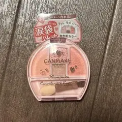 キャンメイク　プランぷくコーデアイズ　04