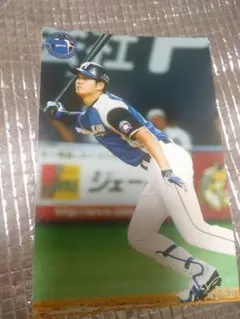 大谷翔平 2014 球団公式ハイライトフォト ファイターズ