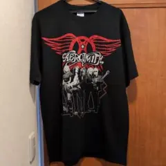 2026年最新】エアロスミス tシャツ キムタクの人気アイテム - メルカリ
