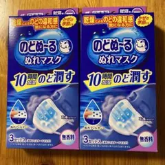 のどぬーるぬれマスク 就寝用プリーツタイプ 小林製薬 2箱 無香料