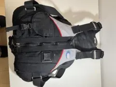 Item thumbnail for item fdc633e5-0f31-4de3-99a2-eff08c8fee80