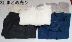 大きいサイズ　3L中心　まとめ売り　パンツ　ブラウス