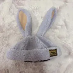 ディズニー　ファンキャップ　ロストキッズ　ピーターパン　紫