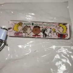 スヌーピー アクリルキーホルダー 【東京限定】 SNOOPY&FRIENDS