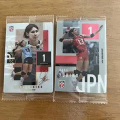 バレーボール ウエハース 和田由紀子 2枚セット