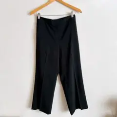 ICB Fied ワイドパンツ　ブラック　サイズ4
