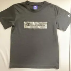 Item thumbnail for item 18f9d9be-9015-490e-9922-0347cef3b569