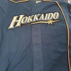 日ハムビジターユニフォーム清宮幸太郎 日本ハムファイターズ 清宮幸太郎 ビジターユニフォームL 21 ワッペン