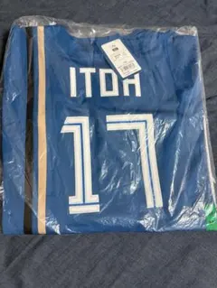 伊藤大海 応援グッズ