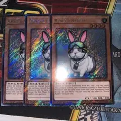 EU レスキューラビット ジェネティック・ワーウルフ 1st セット 遊戯王 ジェネティックワーウルフ1st STON スーパー レスキューラビット 英語