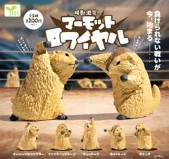 全５種フルコンプセット【叫獣激突！マーモットロワイヤル】マーモット ガチャ