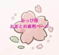 みっぴ様 リクエスト 3点 まとめ商品