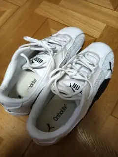 プーマ　スピードキャット