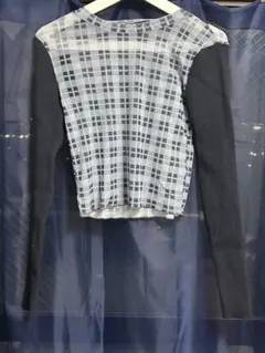ZARA（ザラ）チェック柄シアー素材のトップス