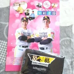 Item thumbnail for item 0e669868-3905-4aa5-8e79-7411fa759a12