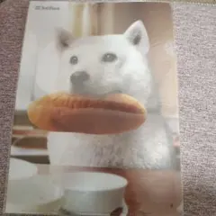 SoftBank 犬とパン クリアファイル