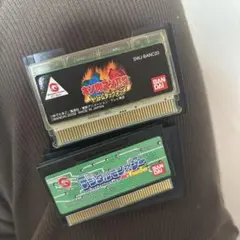 ワンダースワン ソフト 2本セット　ケース付き