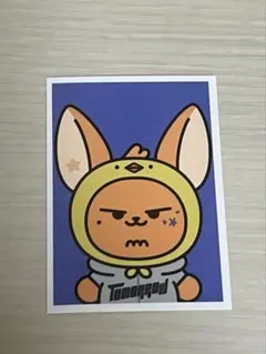 2026年最新】ファンチュン ステッカーの人気アイテム - メルカリ