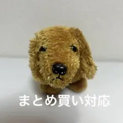 Item thumbnail for item a7a0c17b-4d19-4b8a-9985-0c4e73450ce9