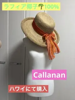 Item thumbnail for item d4cea53a-01fd-4f3e-a283-70d05fa62bad