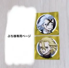 【ぷち様専用】