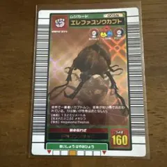 2025年最新】エレファスゾウカブトの人気アイテム - メルカリ