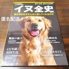 Item thumbnail for item b06dc4c3-a957-4cba-b1c9-01bb676d02d4