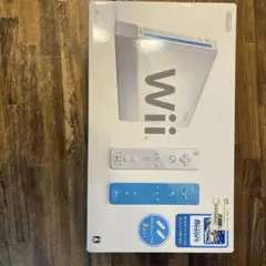 Nintendo Wii スポーツリゾート　同梱版