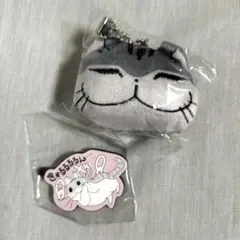 夜は猫といっしょ フェイス ぬいぐるみ マスコット ラバーマスコット　ガチャ