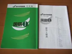 新中学問題集　発展編　国語１年