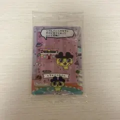 たまごっちのプチプチおみせっち カード&フレーム まめっち ヘアメイクやさん