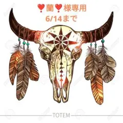 ［❣️蘭❣️様専用］木工部☆ROUTE66☆★可動式収納BOX✨️