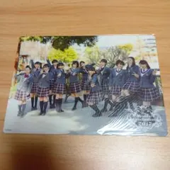 ピカルの定理 白鳥美麗物語 ファイル お笑い芸人グッズ タレント 渡辺