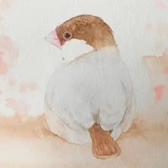 文鳥」色鉛筆画イラスト(額付き) - メルカリ