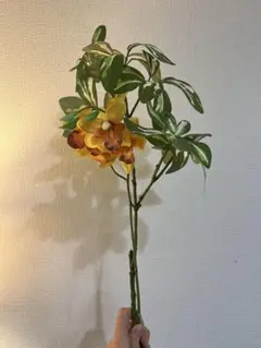 2026年最新】イーストサイドトーキョーの人気アイテム - メルカリ