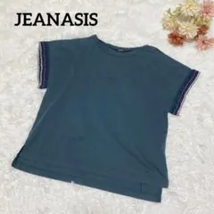 a1795【ジーナシス】半袖Tシャツ ダークグリーン フェミニン 刺繍 F ラフ