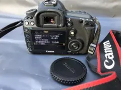 Item thumbnail for item 4f9c0513-cf54-498e-b528-a4120087ba5a