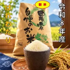 新米【令和8年産】はれわたり 玄米20kg【農家直送】 ※色彩選別済