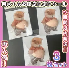 おなか ぷにぷに シール 柴犬 3D 立体 ステッカー 3枚 ぷっくりお腹 いぬ