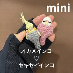 オカメインコの編みぐるみ本 - メルカリ