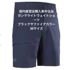 【国内直営店購入】アークテリクスガンライトウェイトショーツ30サイズ紺美中古品のサムネイル