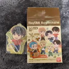 BTS TinyTan アクリルチャーム j-hope